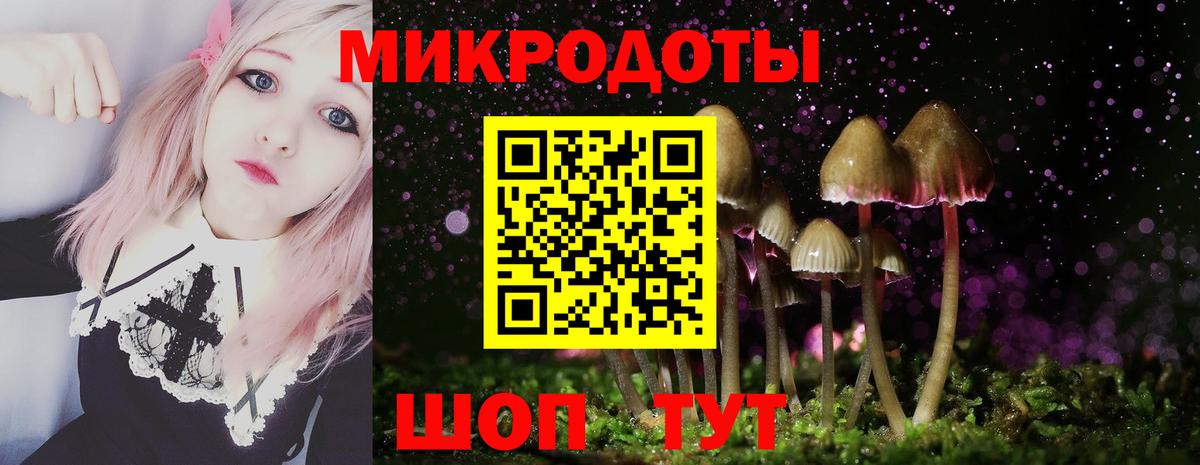 Псилоцибиновые грибы Magic Shrooms  где продают наркотики  Ростов Великий  Вход с VPN 